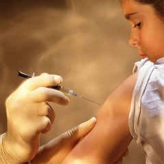 Прививка лучший способ профилактики  желтой лихорадки